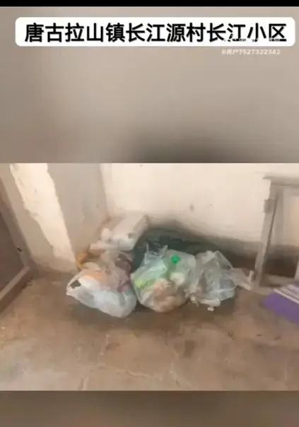 生活里总有这样一群人：他们性格老实，不善言辞，做事踏实肯干，默默付出，却从不争抢