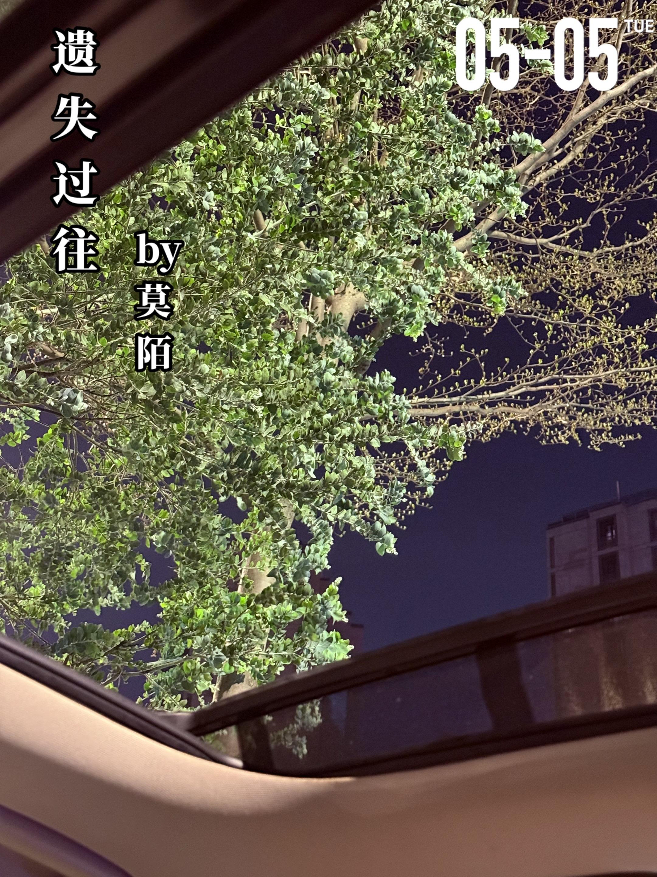 《遗失过往》by莫陌。林虹（女主）第一次见到倪卫彪（男主）时，她14岁...