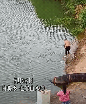 水中救人的好聪明，先抓岸上人的手![赞]