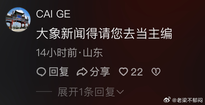 刚才刷到这个评论挺有趣，这个人可能是想讥讽我，说“大象新闻得请您去当主编”，但是
