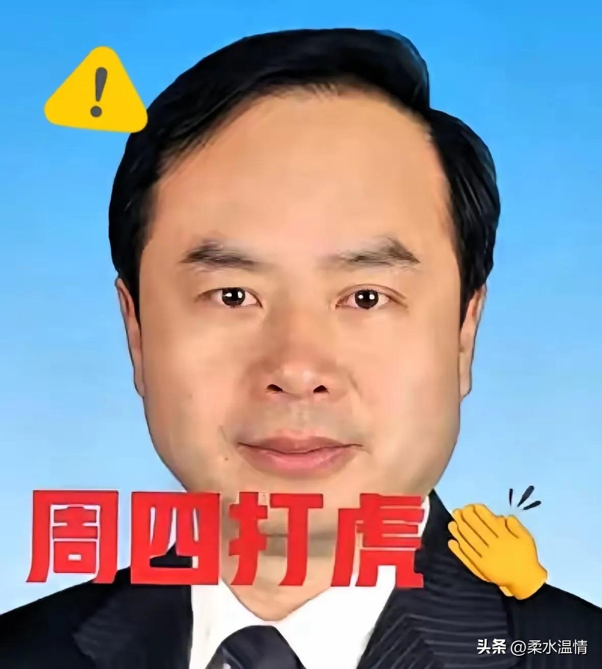 就在刚刚，又一位退休高官落马，彻底打破很多人的幻想！
64岁王奇被查，履历亮眼到