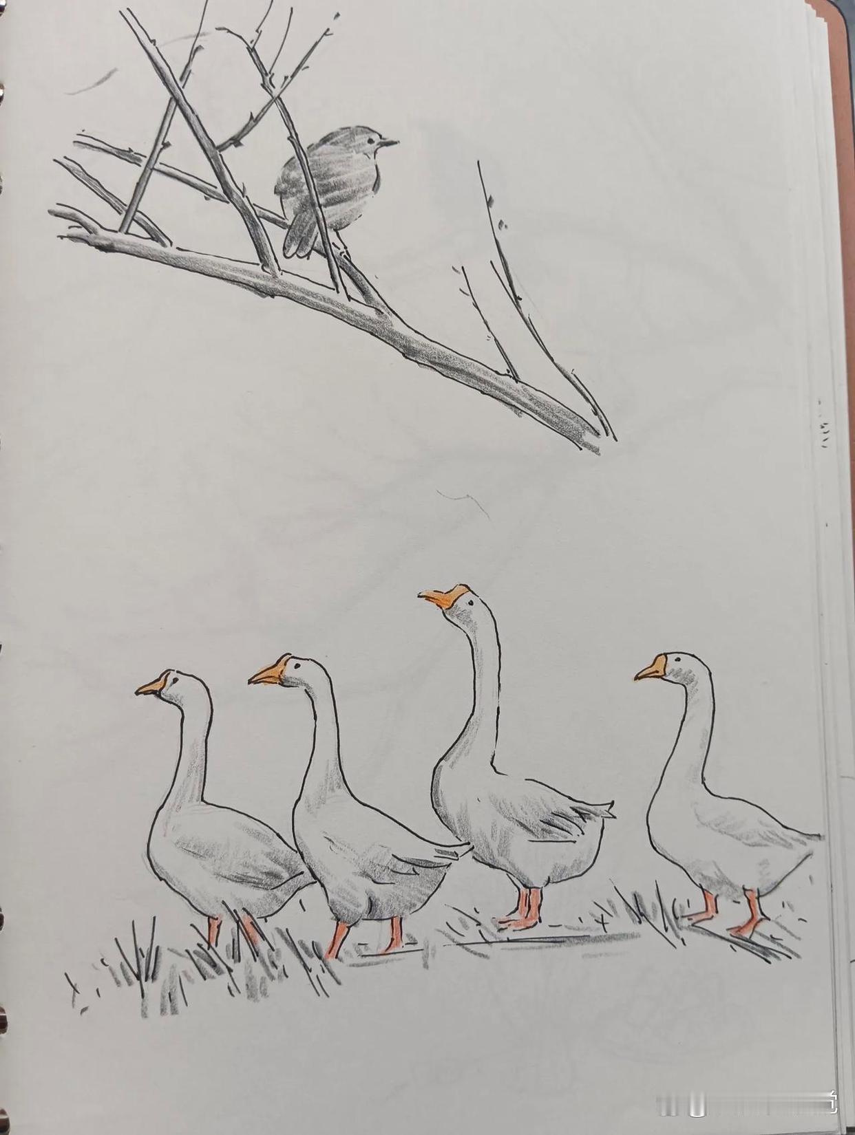 空降新组长，江湖老名堂。
甲愤愤道: 头上这个小个子，老子一脚可以踩死它，凭啥当