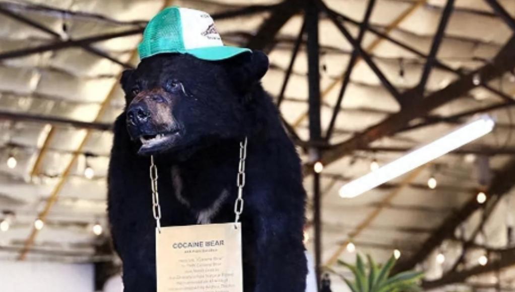 1985 年，毒贩桑顿的飞机出事了，1500 万美元的可卡因掉进了森林，然后，一