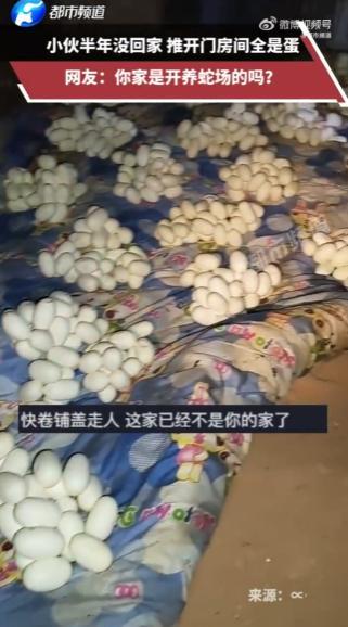 吓哭了！6 月 12 日，江西一小伙整整半年没有回过家，最近，他返回自己久无人居