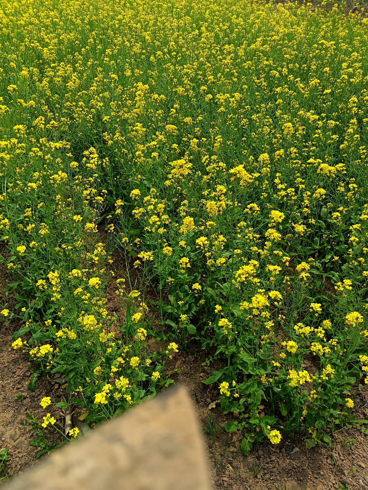 这些照片千万别往朋友圈晒 朋友圈虽说是分享生活的地方，但有些照片可千万别晒。像隐