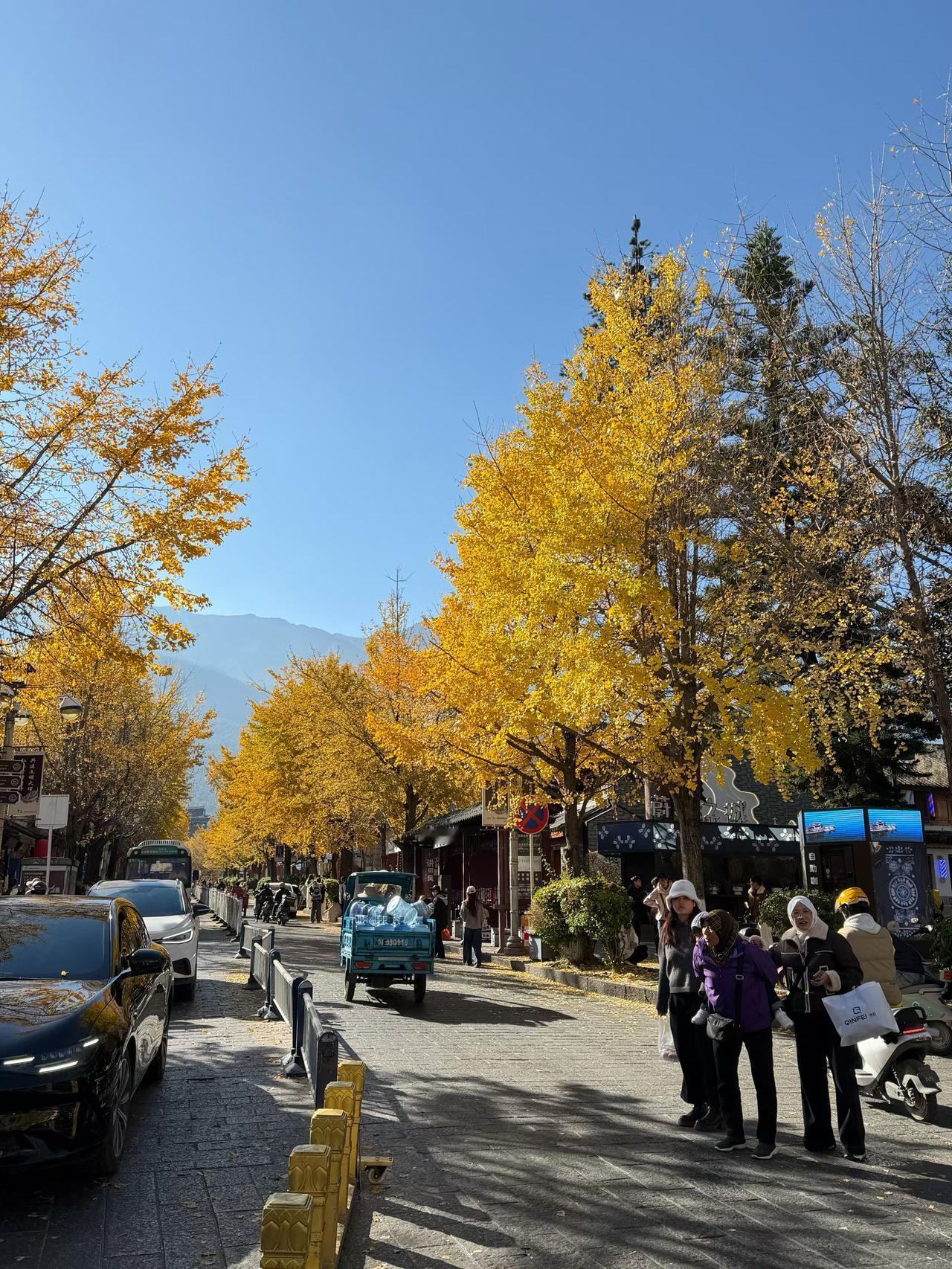 今天大早上班，一出门就被这金黄的银杏路惊艳到了！
 
蓝天跟洗过似的，银杏叶黄得