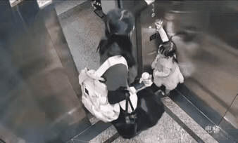 孩子电梯内等妈妈会有大作为吗电梯对于我们来说，时时刻刻都离不开，妈妈带着孩子进入