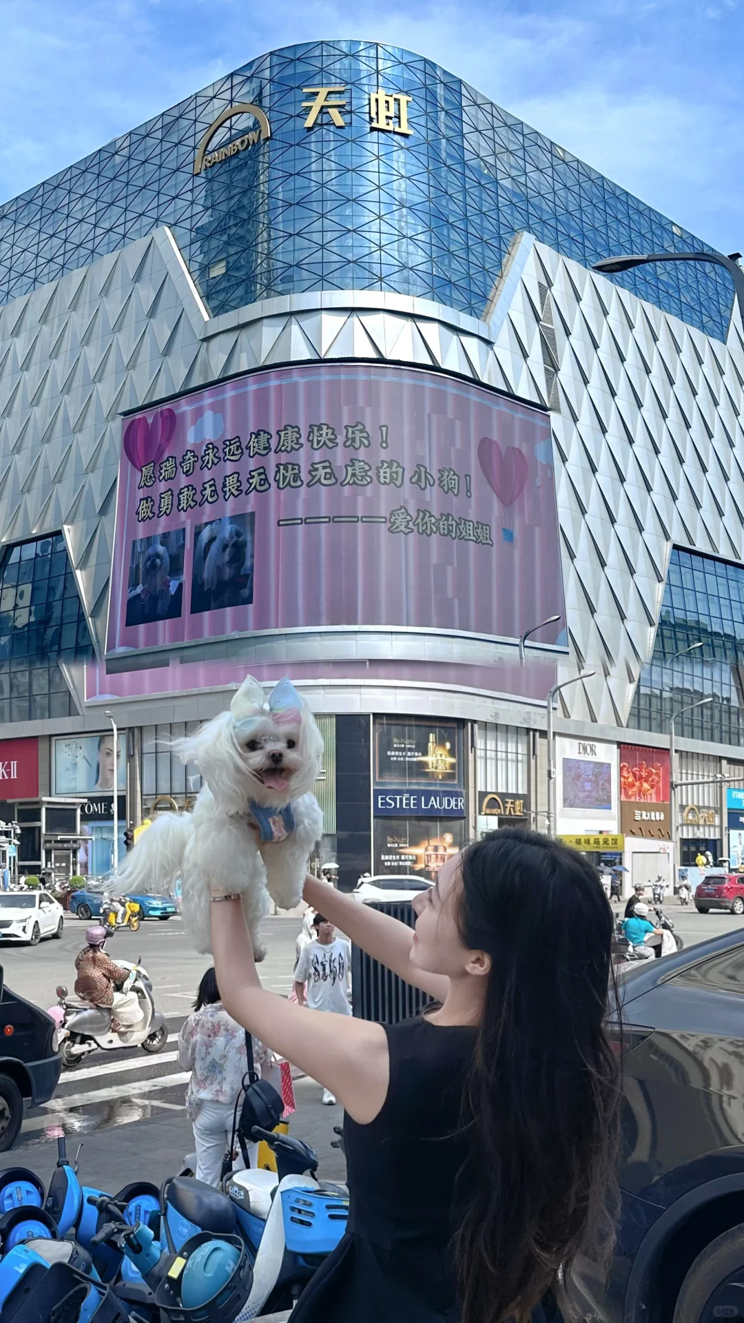 路过的哥哥姐姐记得抬头看看瑞小狗