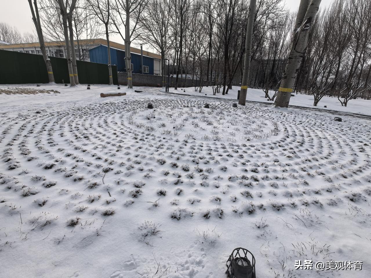 待到山花烂漫时（积雪覆盖的花园）