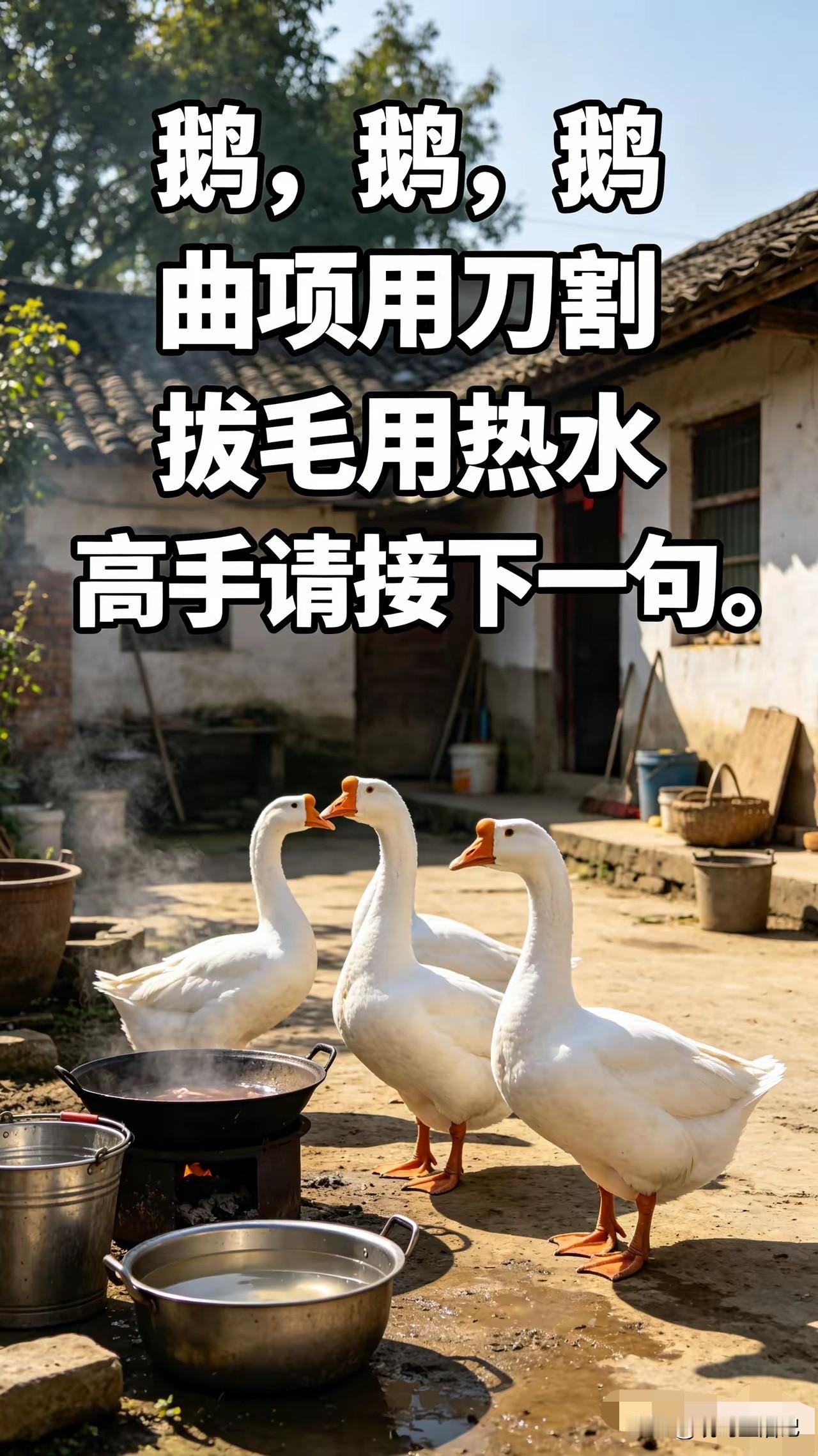 铁锅炖大鹅，不知道我接的对不[捂脸]