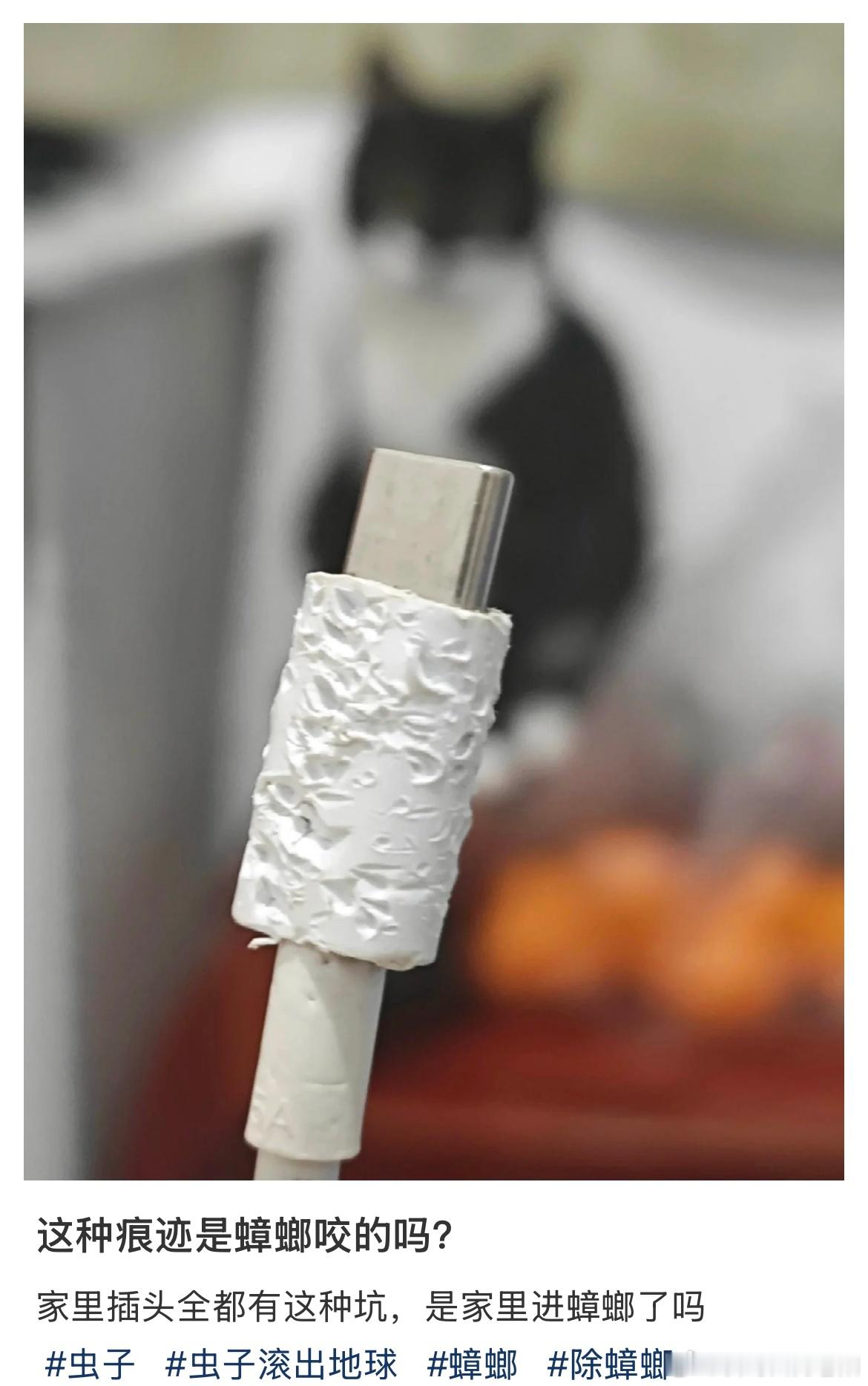 这种痕迹是蟑螂咬的吗？ 