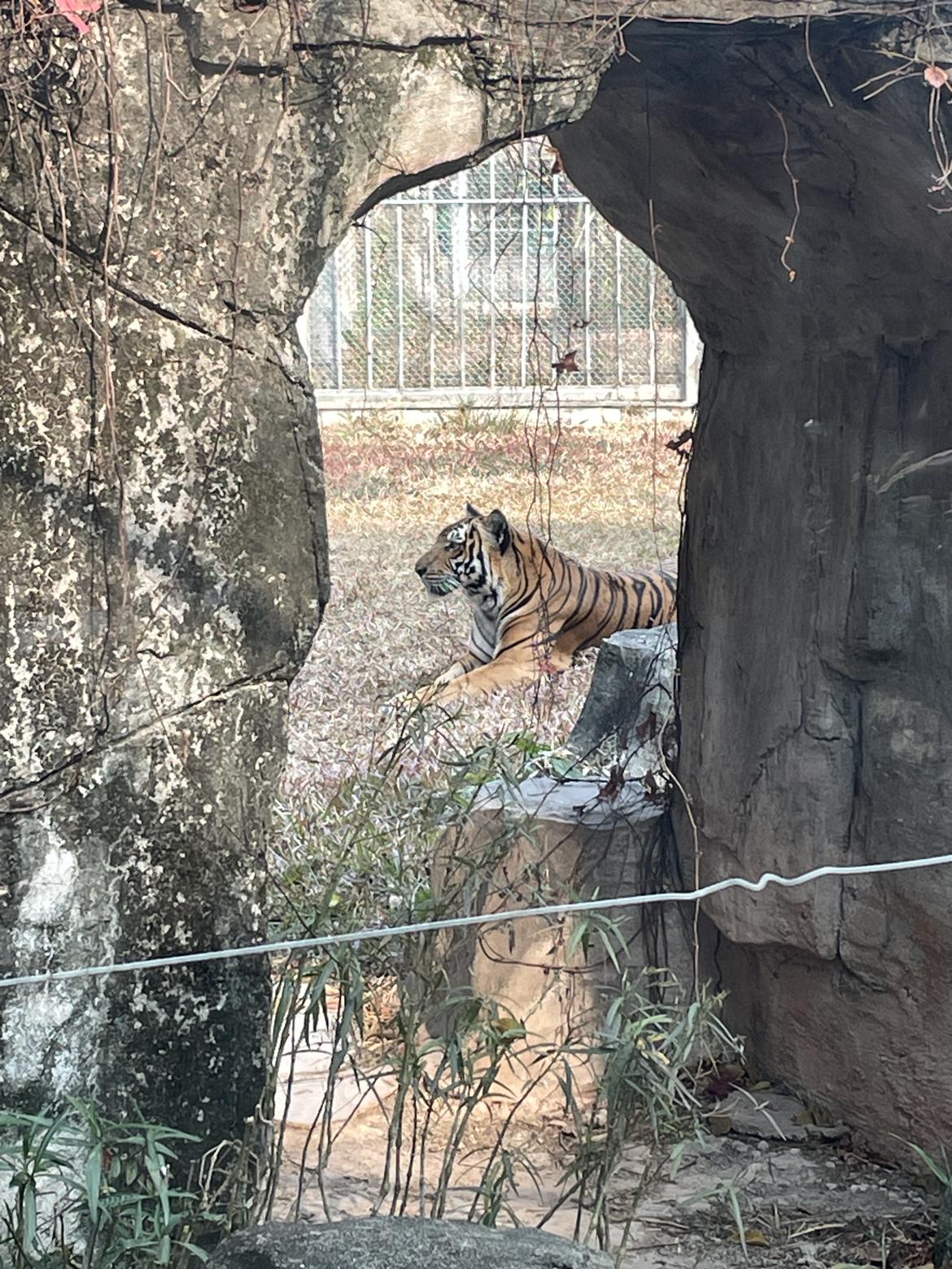 我的今日状态：😁轻松愉快
我这里的天气：☀️晴天