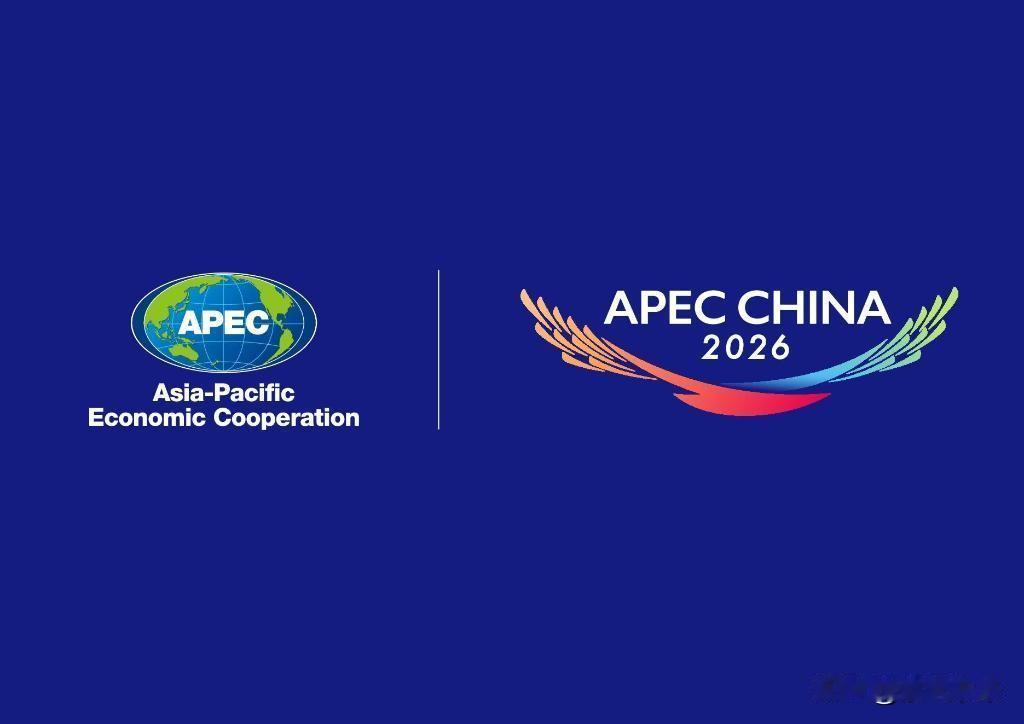 APEC峰会对于中国台湾地区的参会人员有严格要求，台湾地区领导人排除在外，想到不