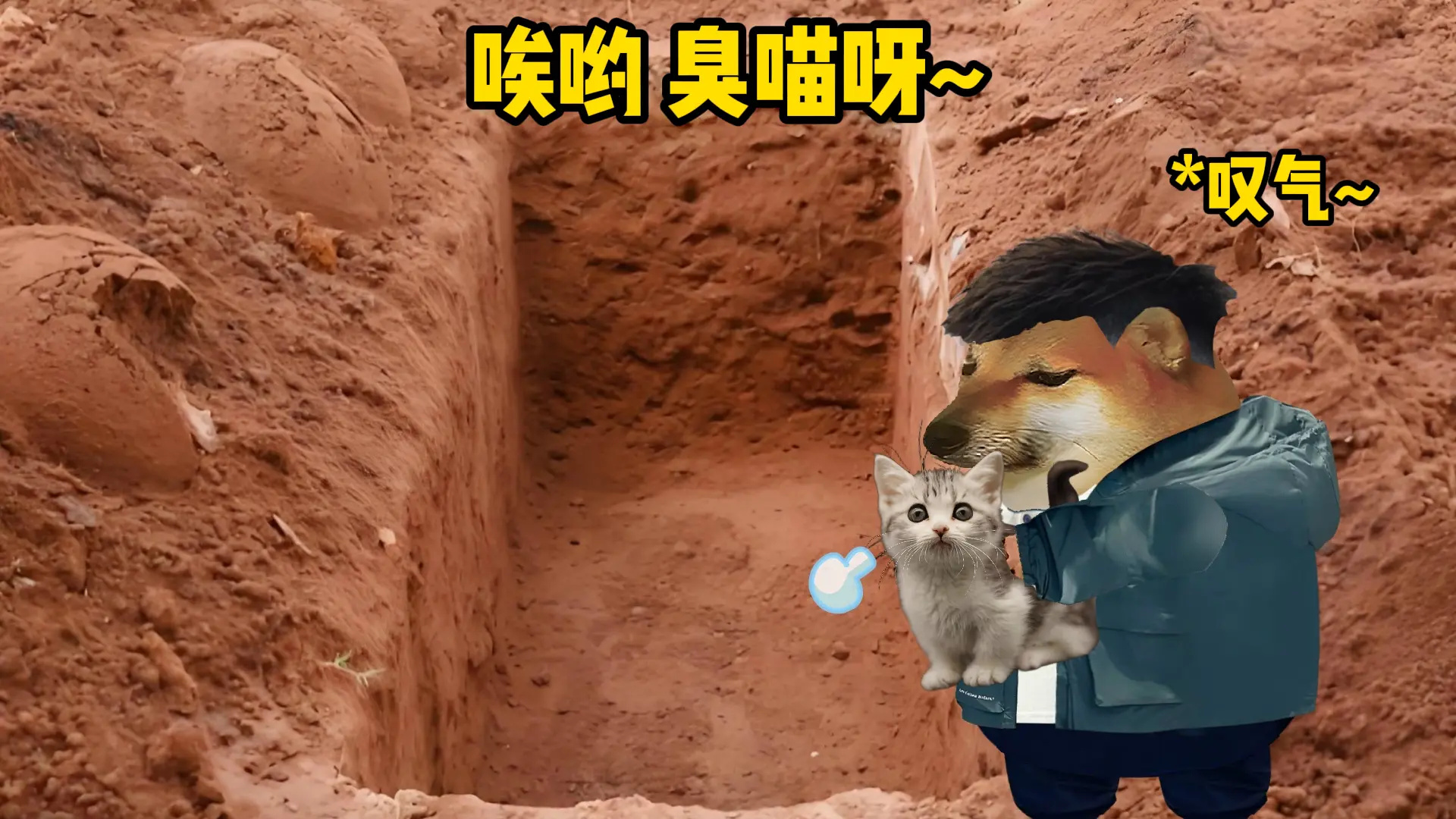 只有感同身受最为致命。晚安，悟空！