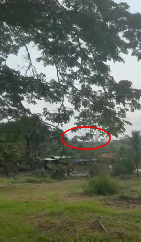 哥伦比亚 2026年3月23日星期一，一架哥伦比亚空军的洛克希德C-130“大力