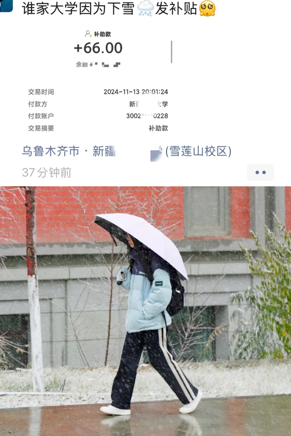 谁家大学每年除雪还发笔补助啊？恐怕只有新
