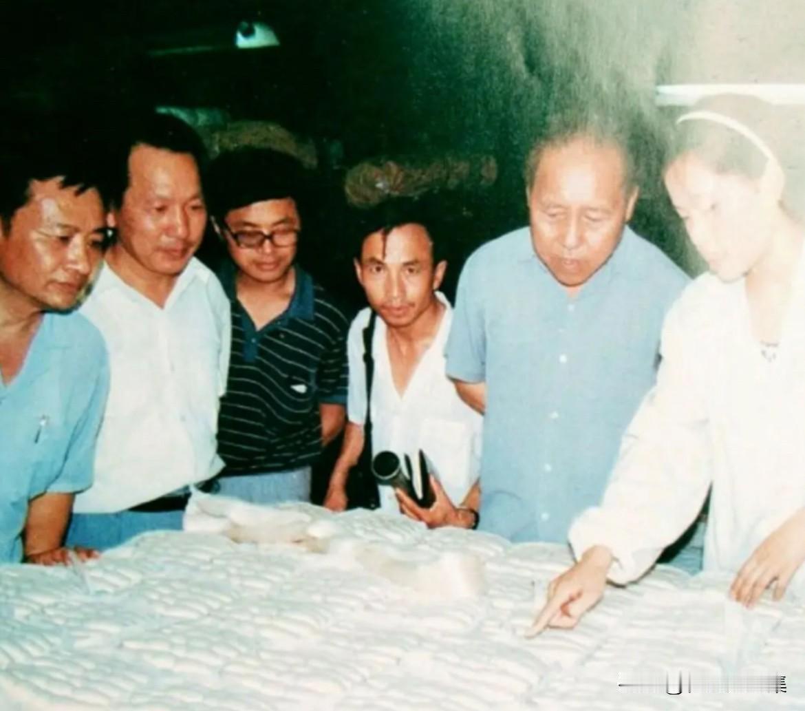 杨汝岱同志在担任四川省委书记期间，经常深入到边远贫困山区、民族地区调查“温饱工程