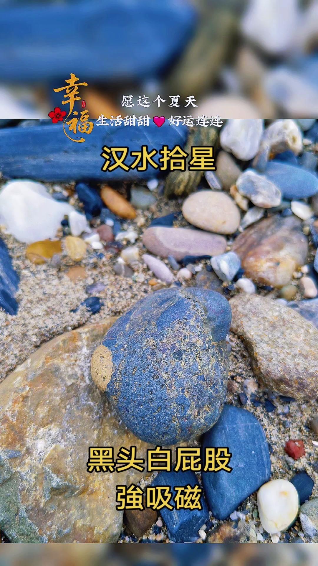 汉江捡石奇遇：天外来客？在汉江散步时捡到一块特别的石头，黑头白屁股，还能吸磁铁！