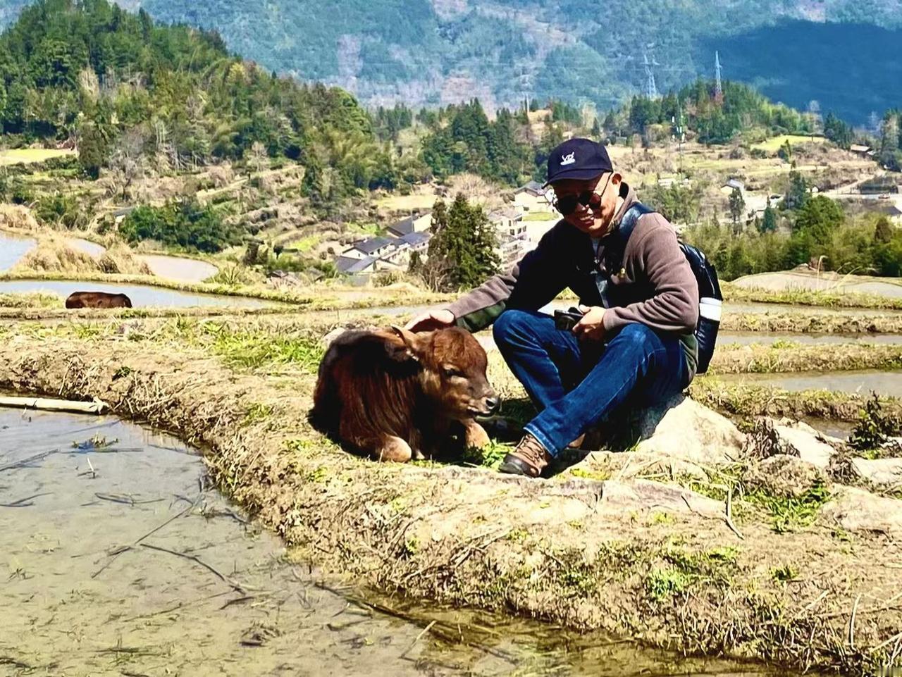 治愈风光图分享山野田埂遇小牛，一摸一拍，自在悠然。抛开俗世纷扰，和自然来一场温柔