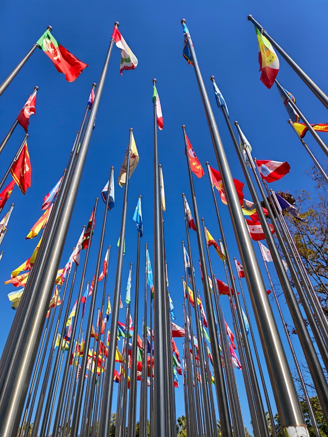 早上好家人们！搬砖去了每天早起打卡