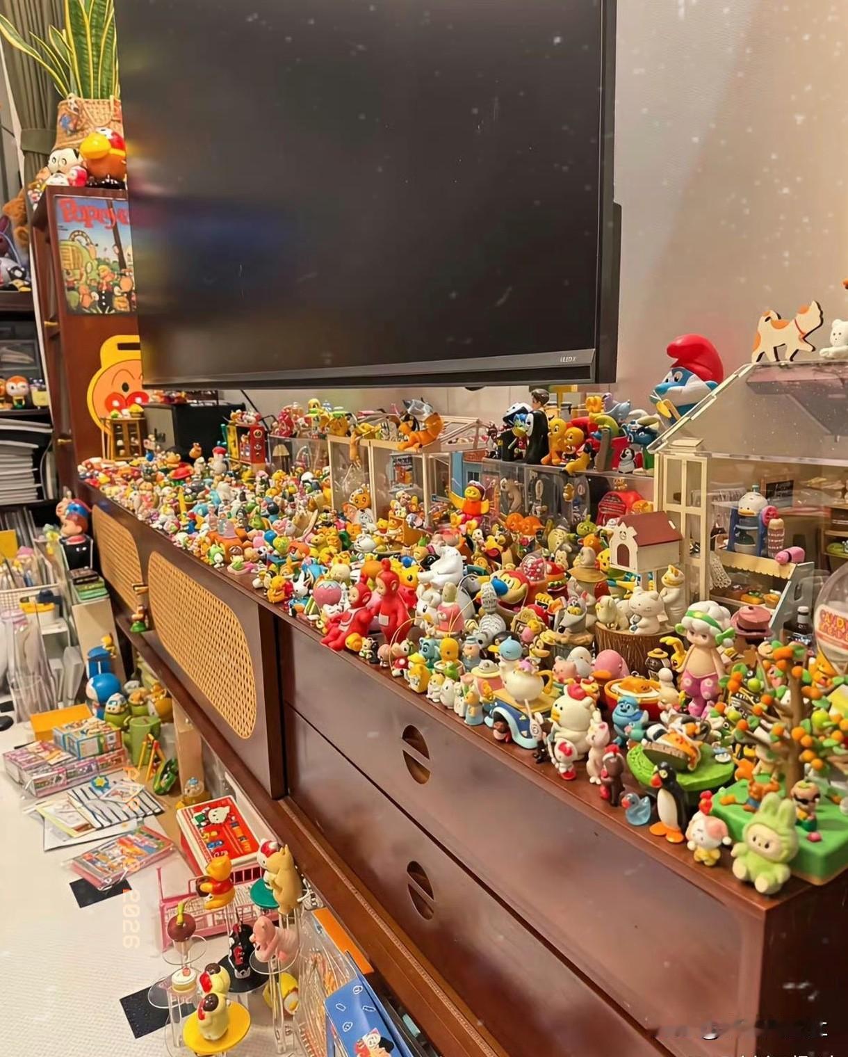 这主人家炫成这样，我彻底被惊到了，真的是哑口无言，完全不知道咋形容了。