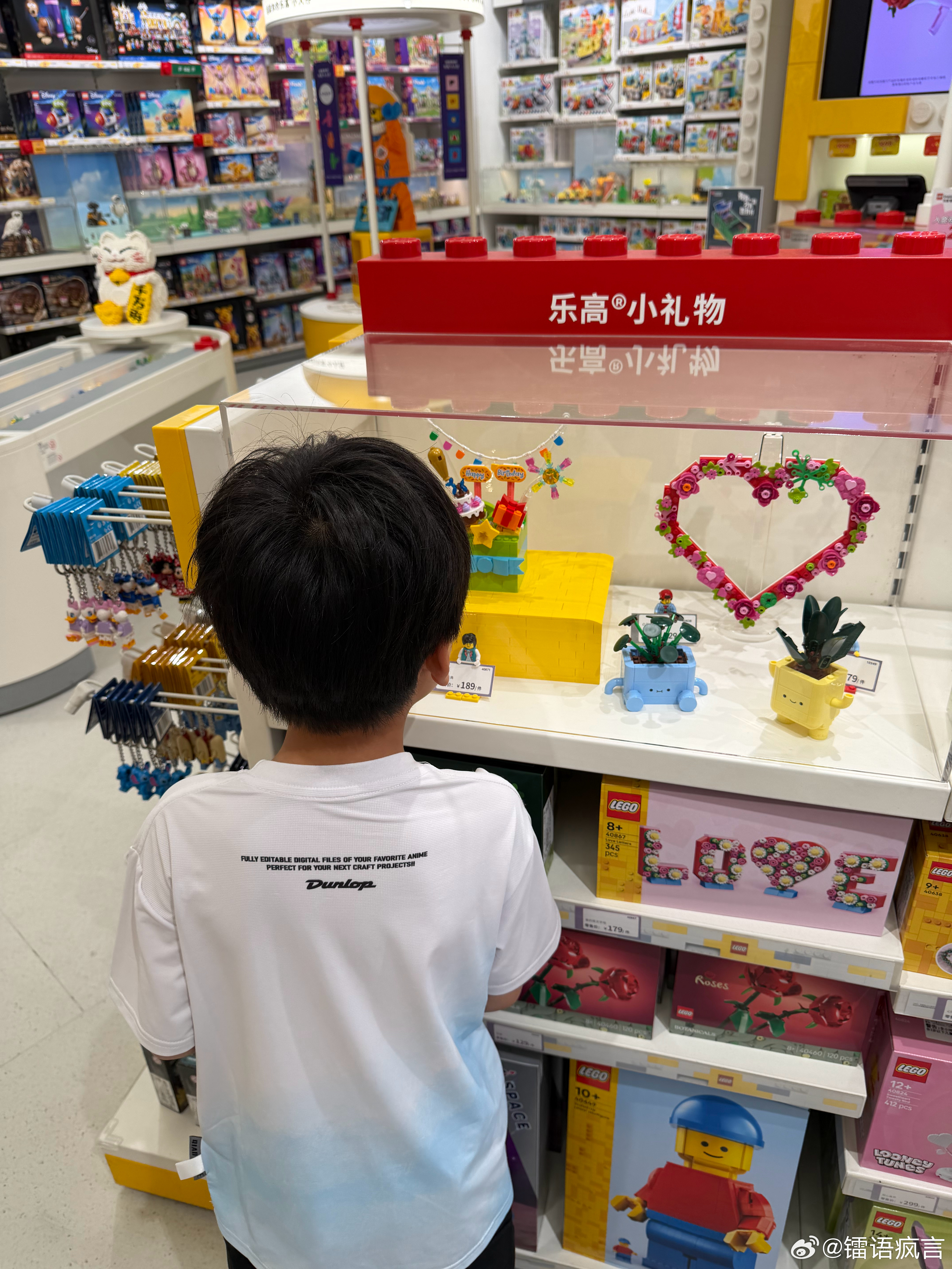 又想拼乐高了，自己拼不了还要请人拼，乐趣在哪里？ 