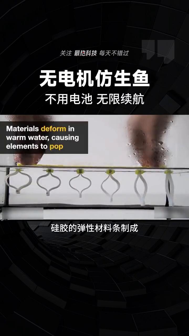 无电机仿生鱼，不用电池无限续航。
你见过这么灵活的水下机器人吗？这就是加州理工学