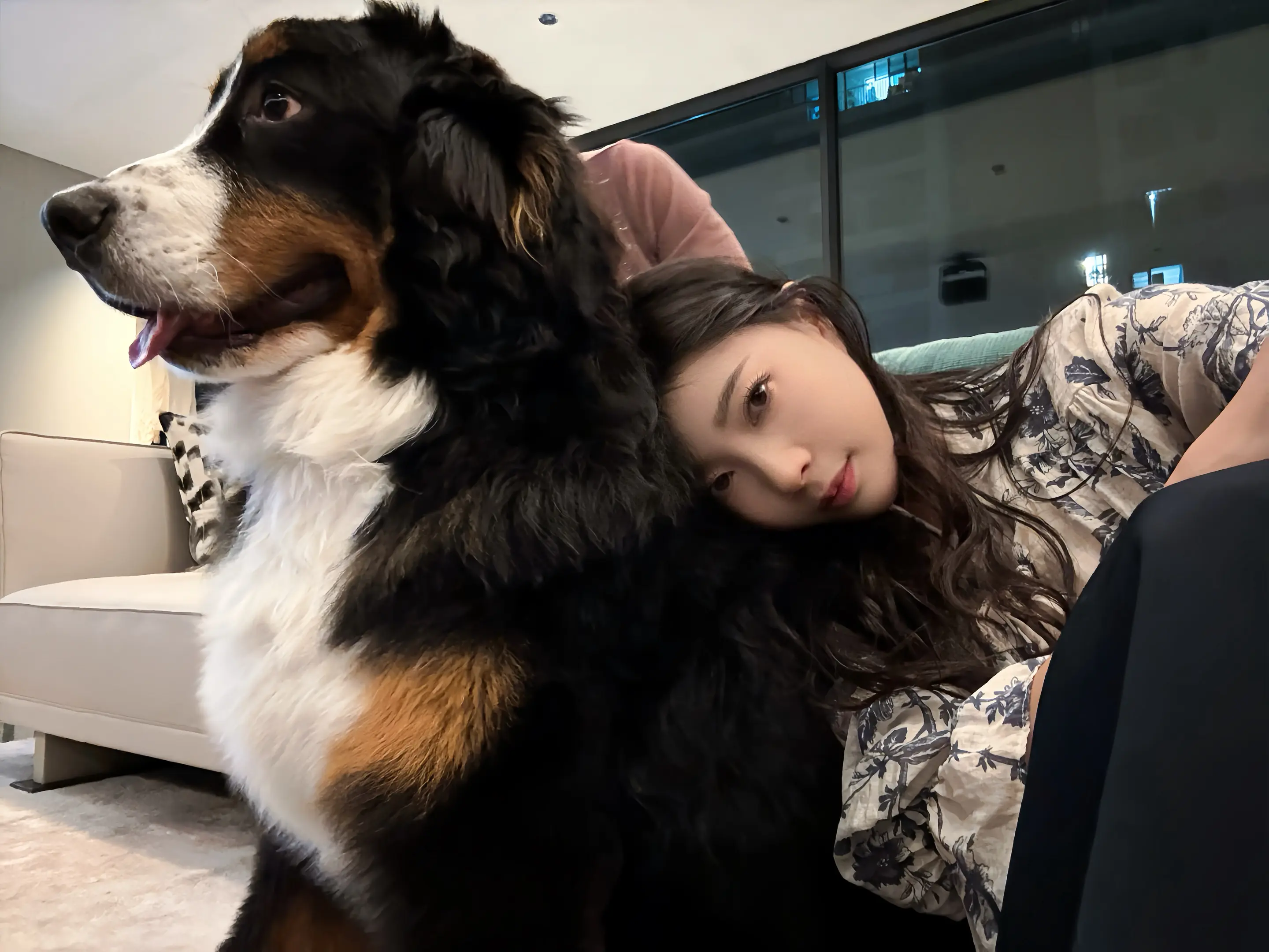 我的小狗变成大狗狗啦