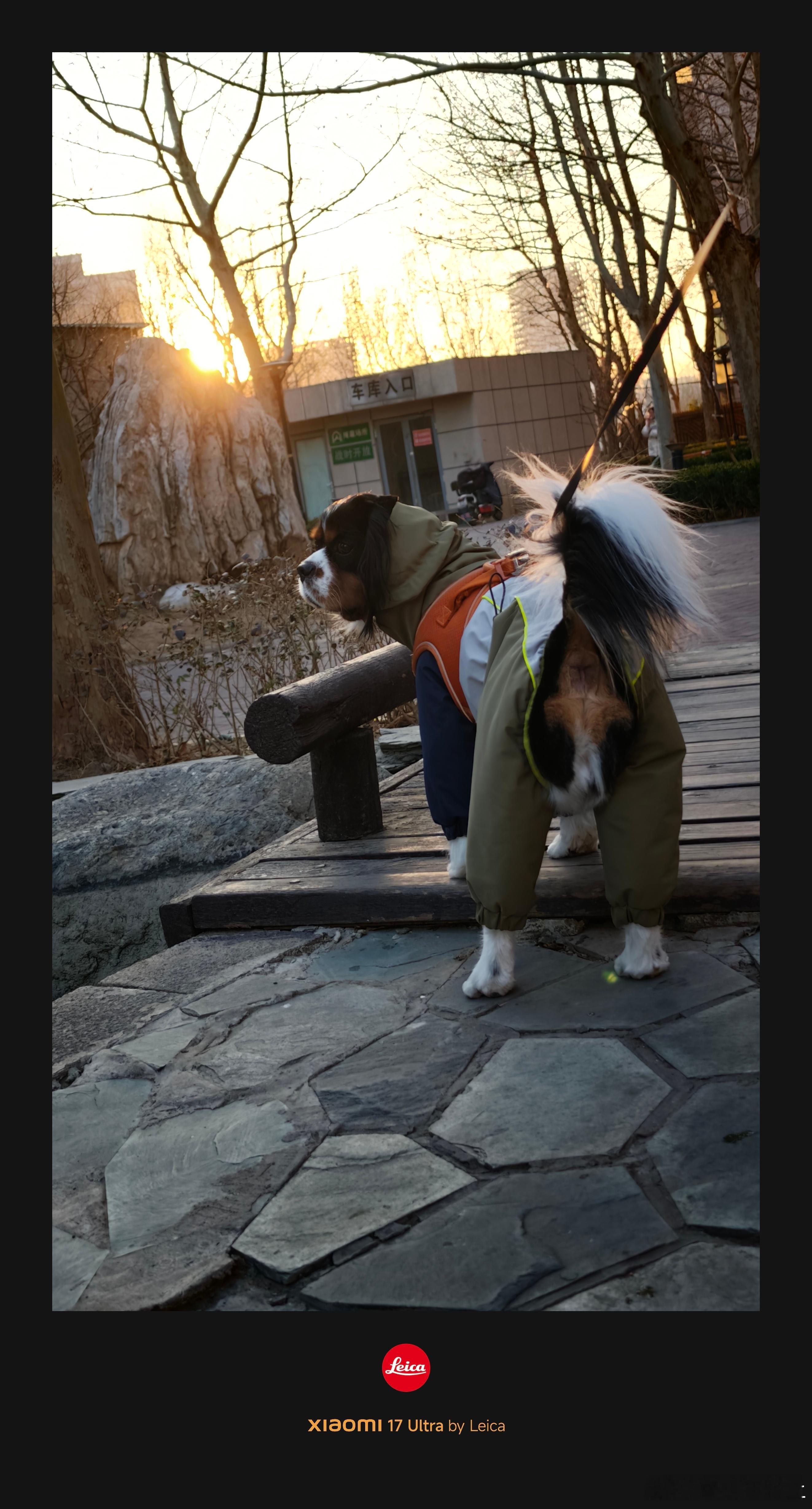 出门溜达 跟小朋友们随便捏了两张北京的冬天太阳一落山就特别冷今天零下7,8度 手