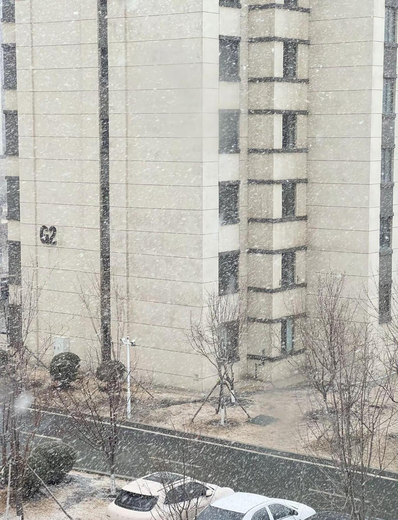 四月的雪本是春暖花开日 确是落雪成诗意有一场属于暮春的雪