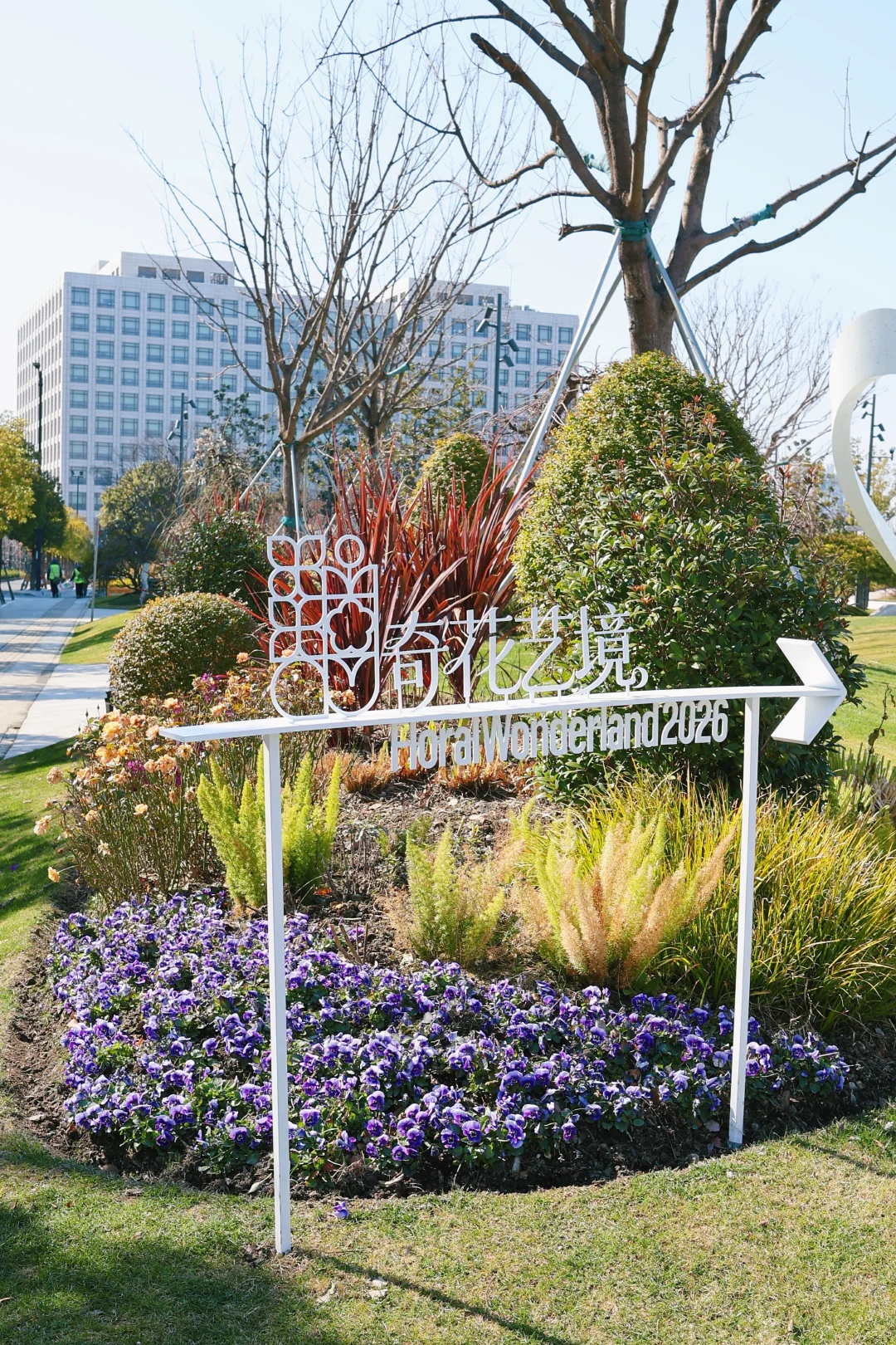 上海新春顶流花展！垂枝梅隧道美哭了