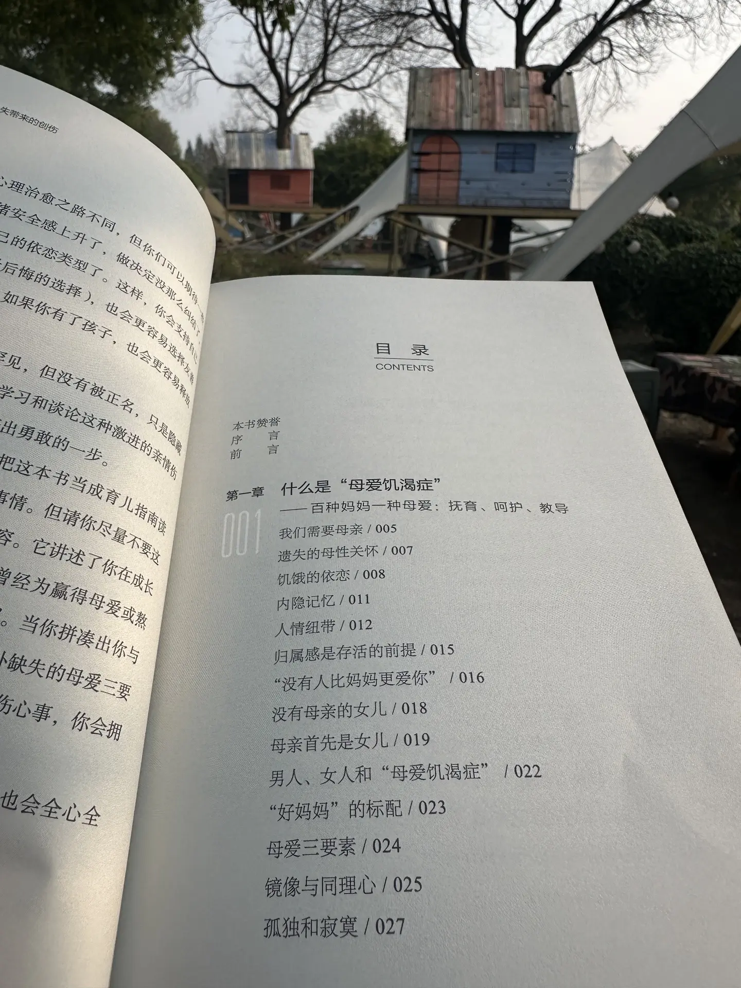 找回失落的母爱， 结束痛苦的挣扎！