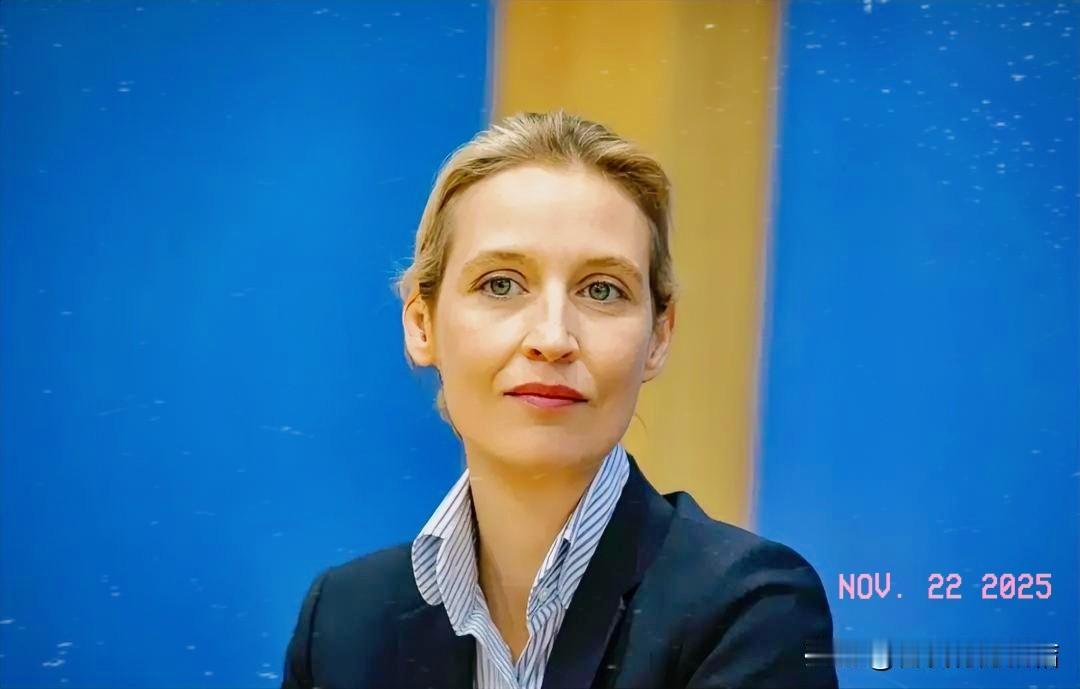 魏德尔该如何破局？

德国选择党主席魏德尔，原本在民调中表现强劲，支持率一度高达