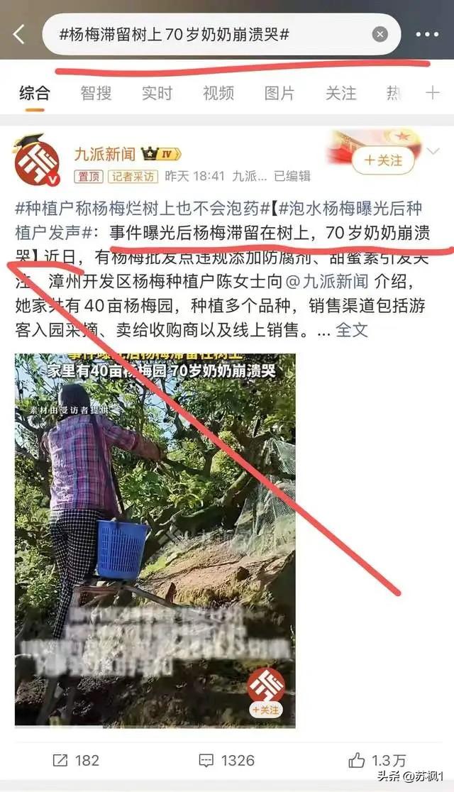 为什么同一批杨梅，合格飞欧洲，泡药发全国？”，这拷问让人更扎心！

眼下正是杨梅