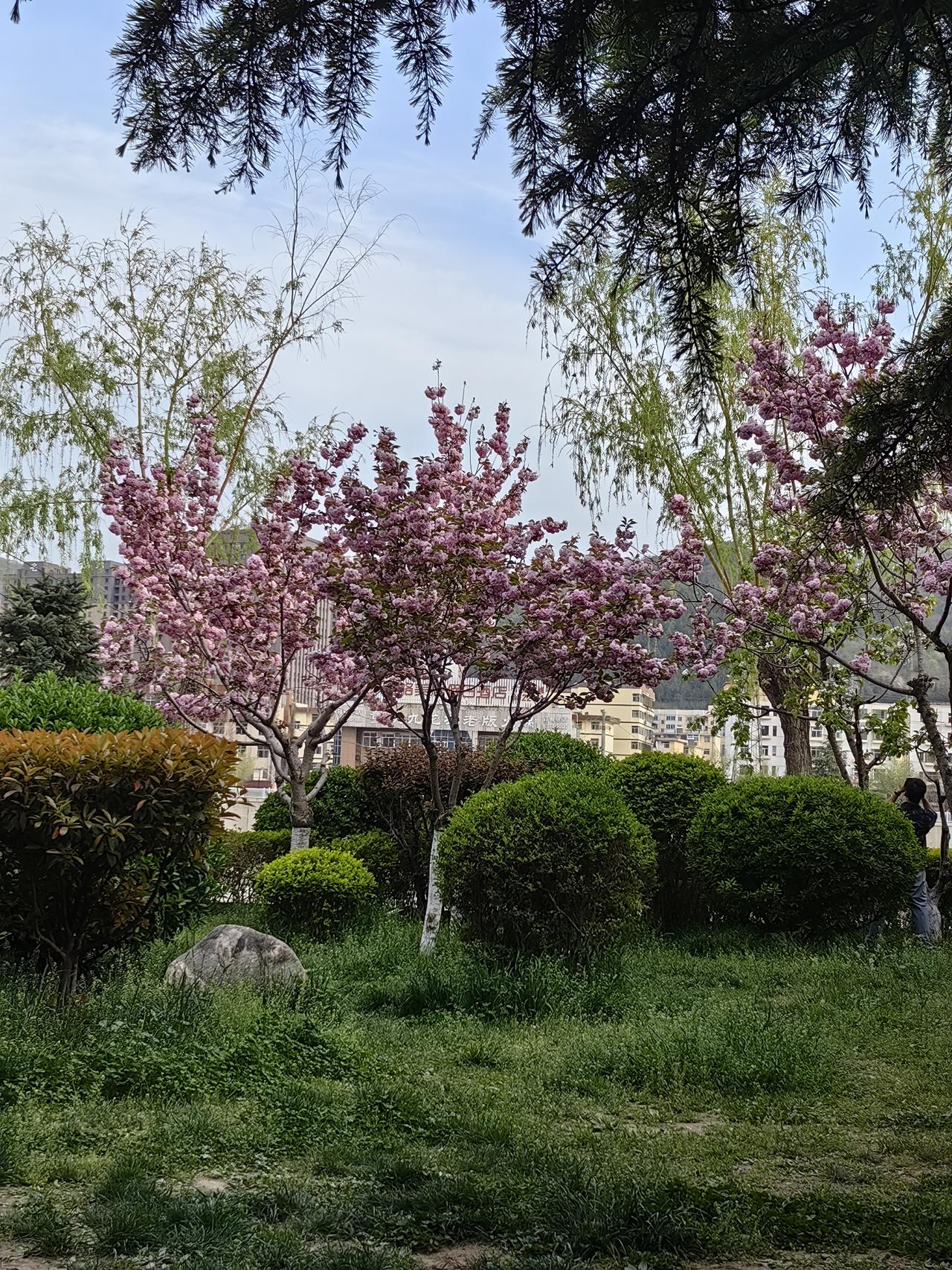 今天天气不错，我到河边拍视频。有些热，我打算把外衣放到椅子上。突然发现椅子上放着