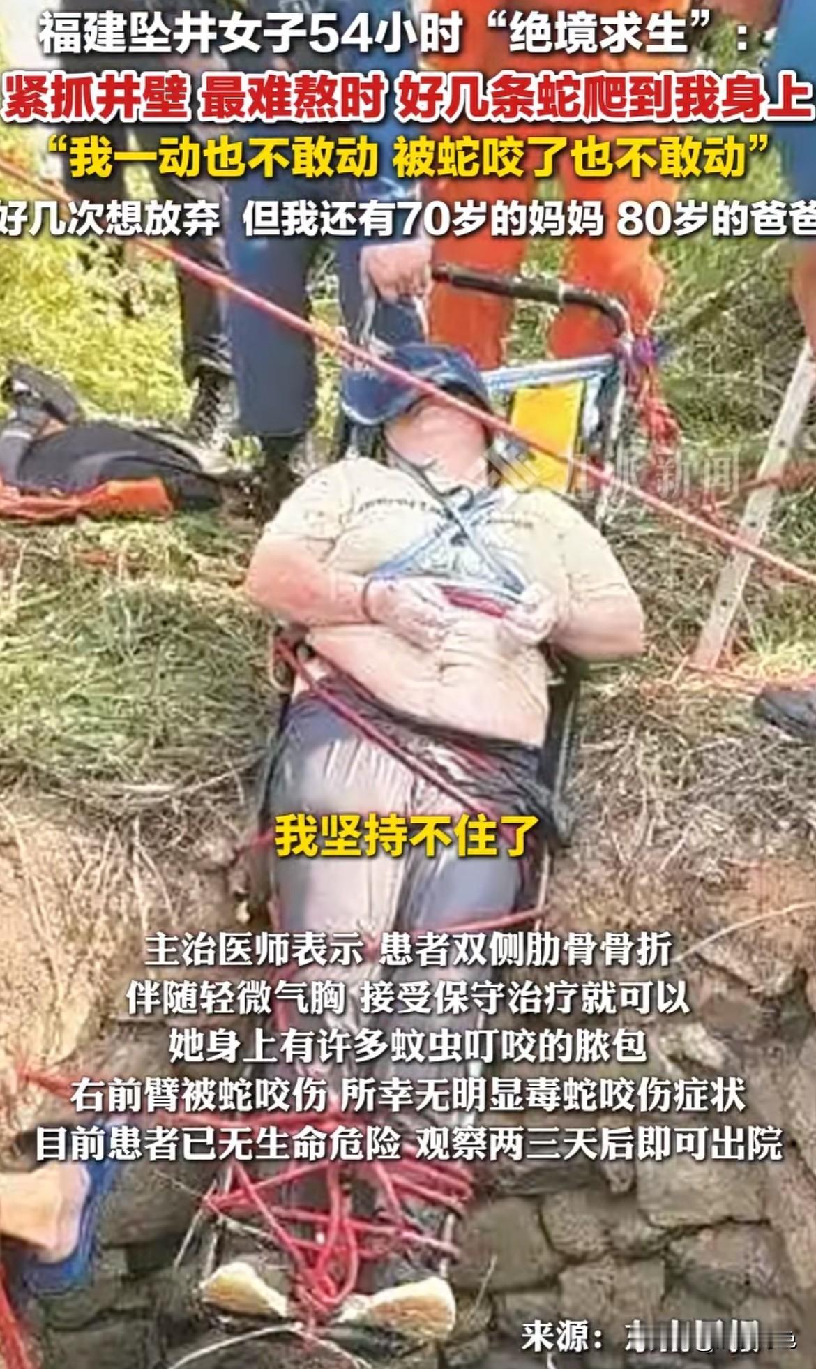 是什么让她在蛇群环绕中不敢动却绝不放弃？

9月13日，福建一覃女士在树林散步时