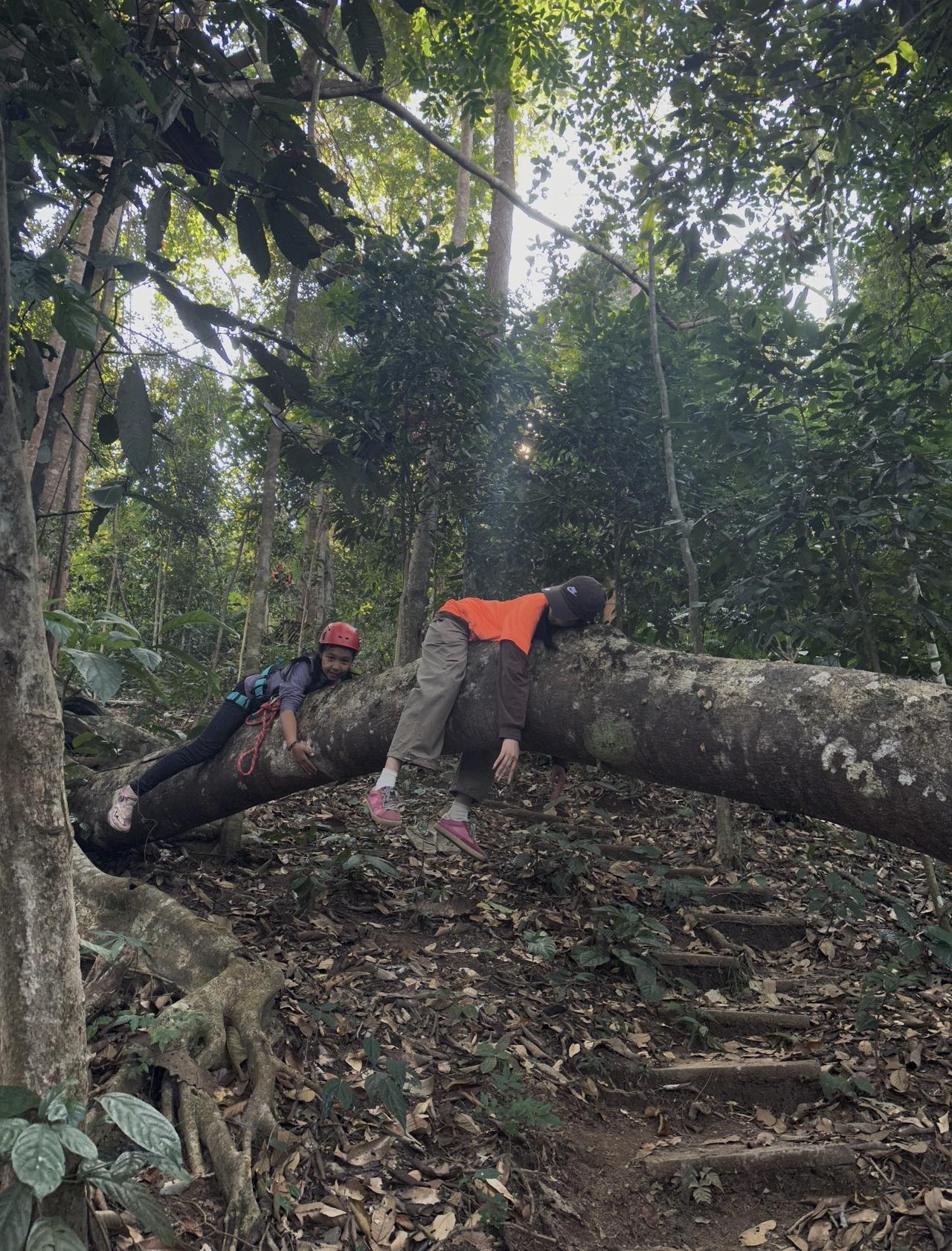来西双版纳！！雨林徒步究竟值不值得去？ 
📍西双版纳 去野·雨林徒步(纳板河店
