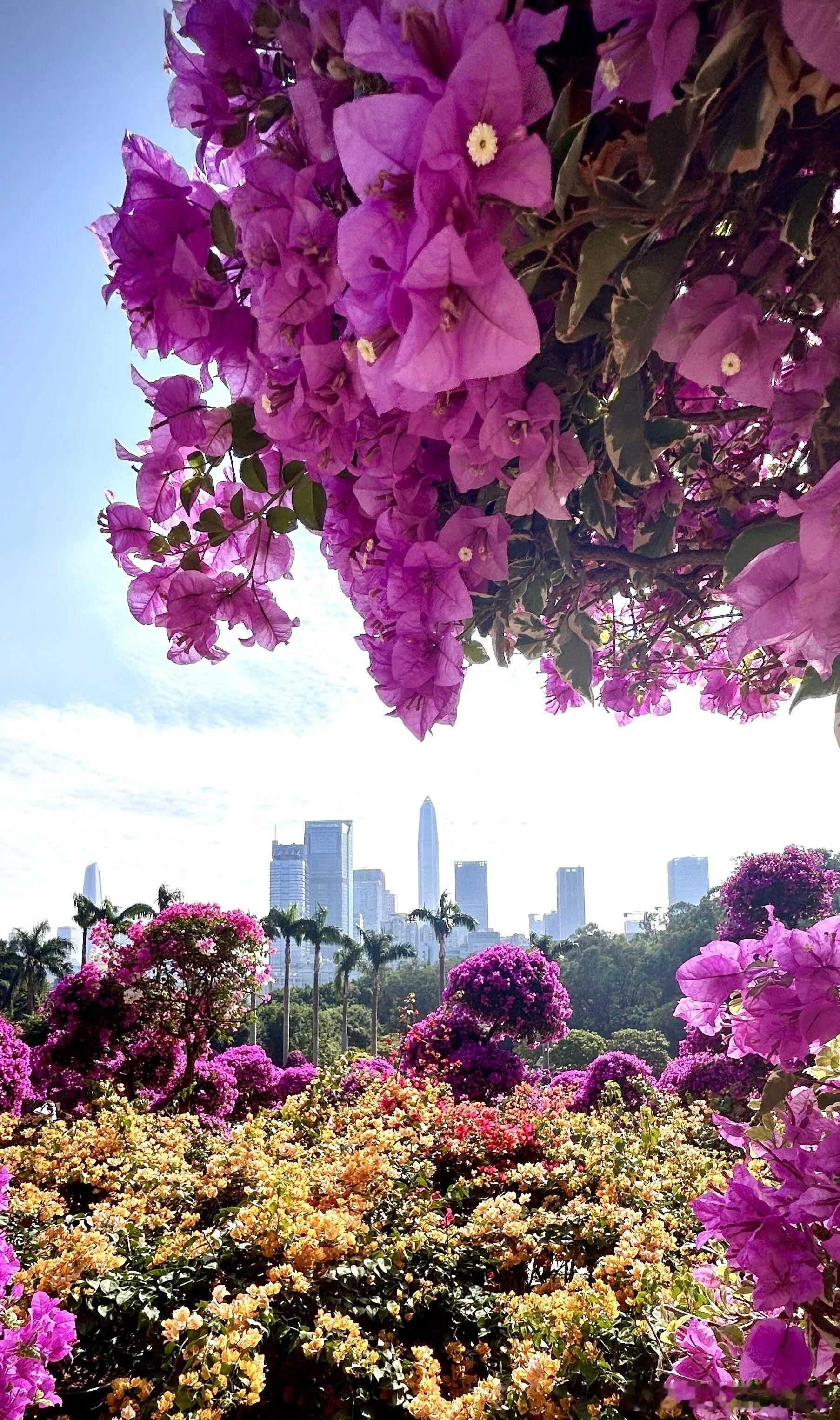 基于自己比较优势，每个企业都可在出海生态中找到适合自己的位置包括产能出海、产品出