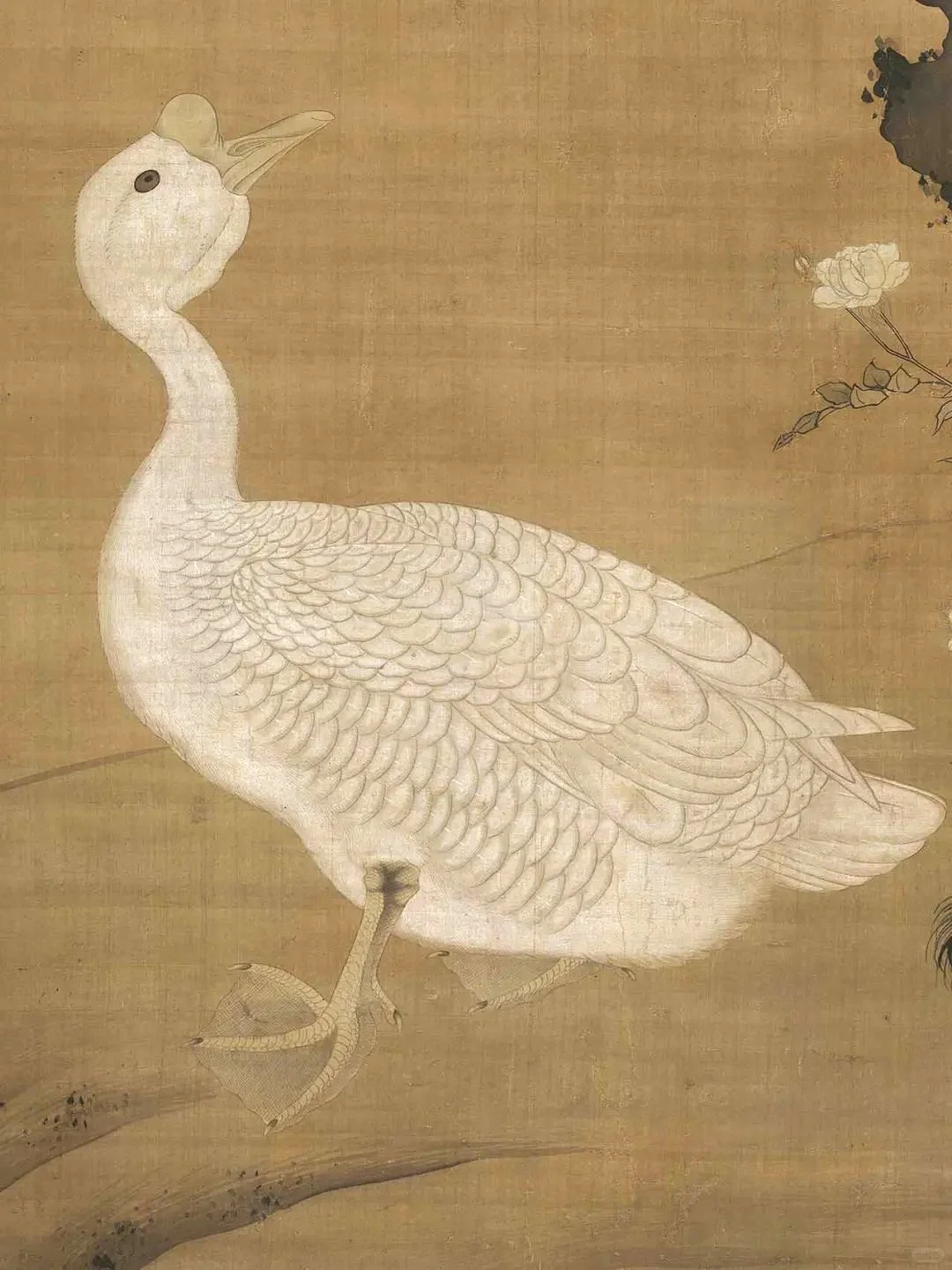 明代的一只鹅🦢