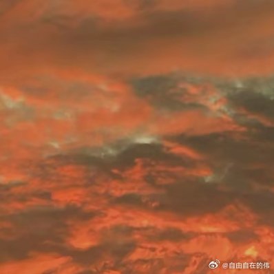 阳光信用 阳光，是前行的火，点亮我们前行的灯；阳光，是前行的灯，照亮我们前行的路
