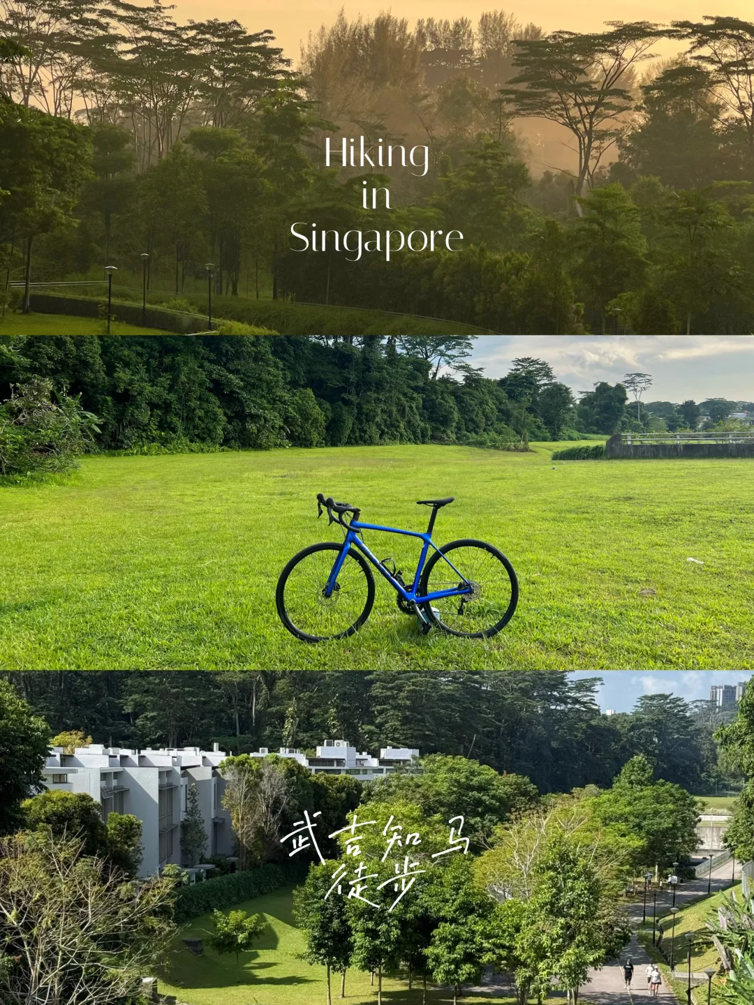 🇸🇬宝藏轻徒步路线｜反复爱上新加坡的缘由