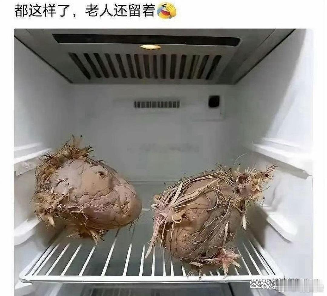 老一辈就是节约 殊不知电费都比他们贵！！！ 