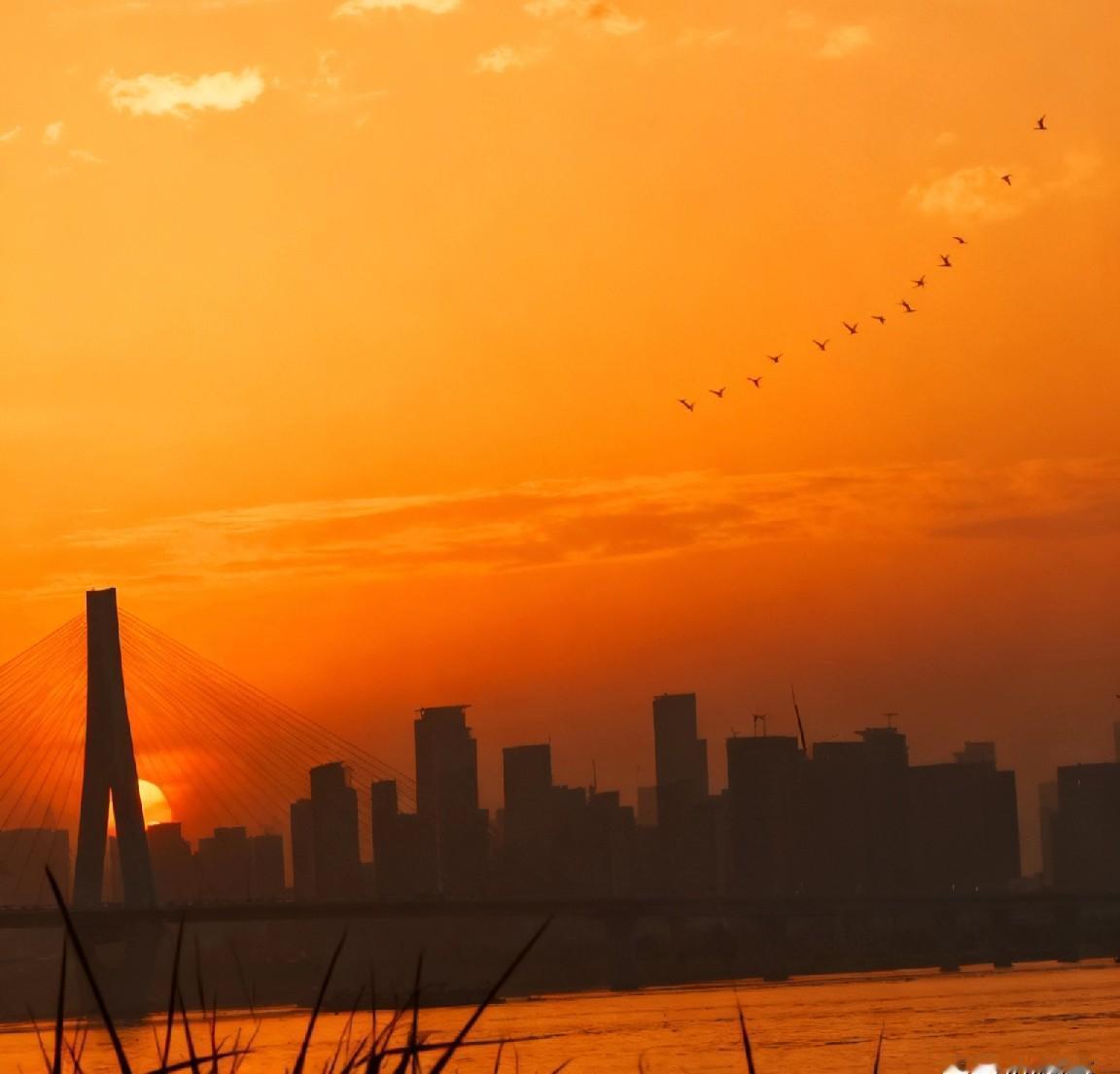 体检费要自己先掏？
这活儿靠谱吗？
别急着入职，先看看这家公司靠不靠谱。
干桶装