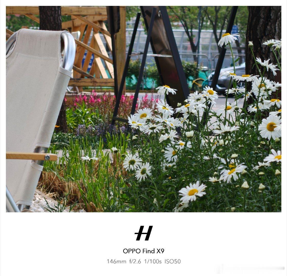 半日闲我的日常plog