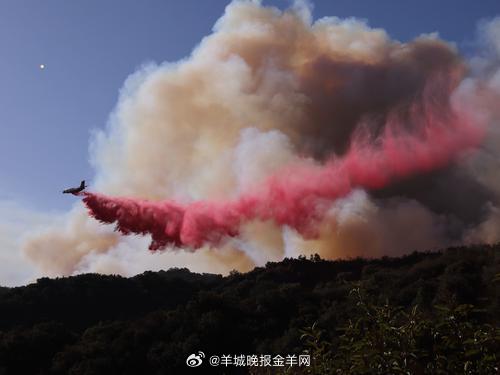 【中国总领馆：#暂无中国公民在加州山火中伤亡的报告#】洛杉矶县法医办公室12日确