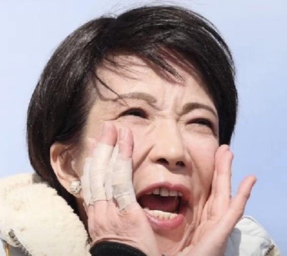 高市早苗这波操作，翻脸比翻书还快。

这边刚对中国游客举起“剪刀手”，签证费直接