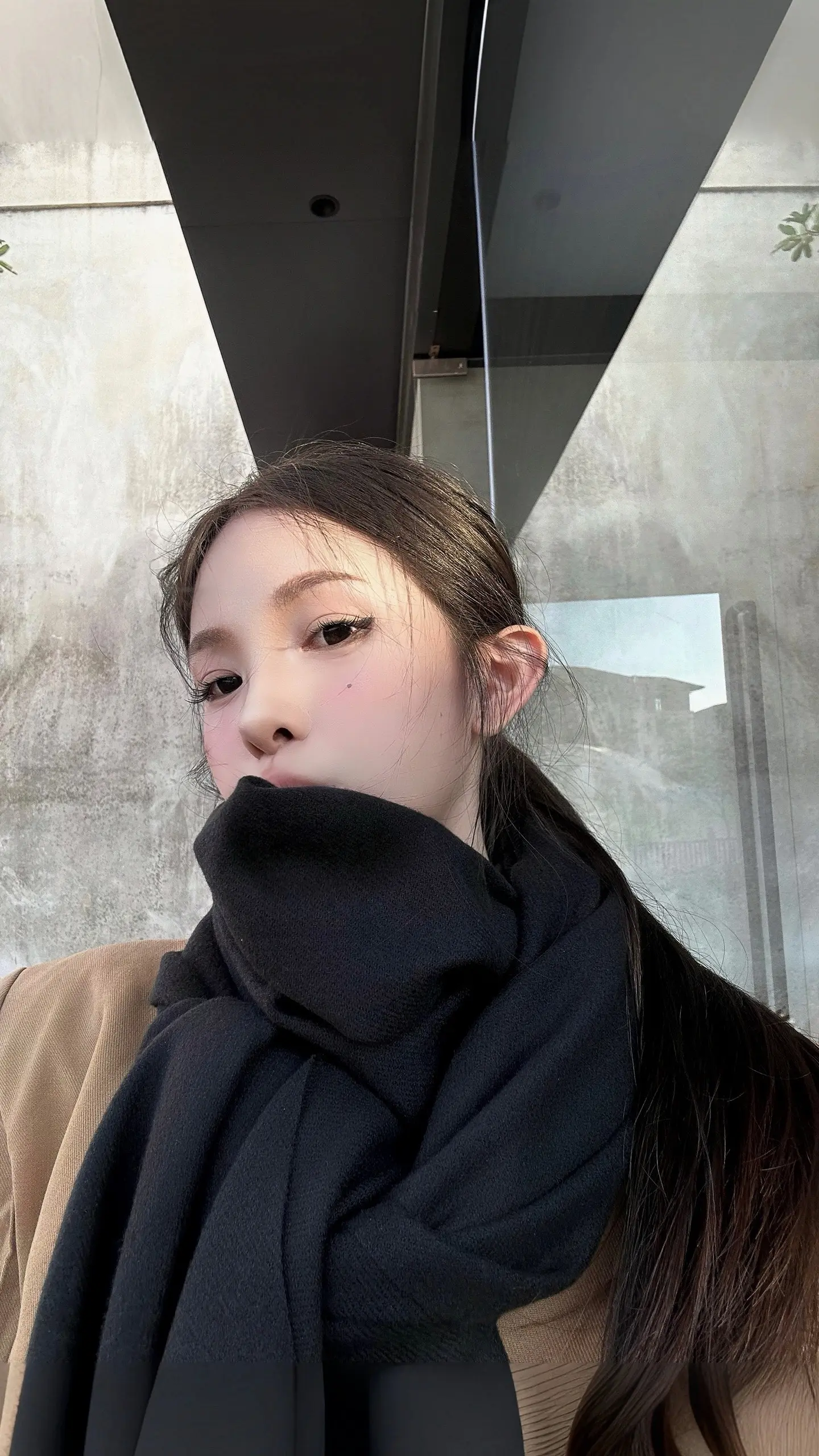 11月🎞️。