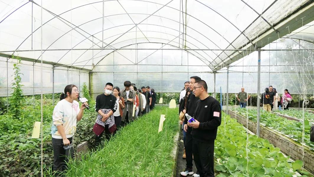 小农场怎么赚钱？30亩年入300万，需要“适合”的盈利模式！

小农场的优势在“