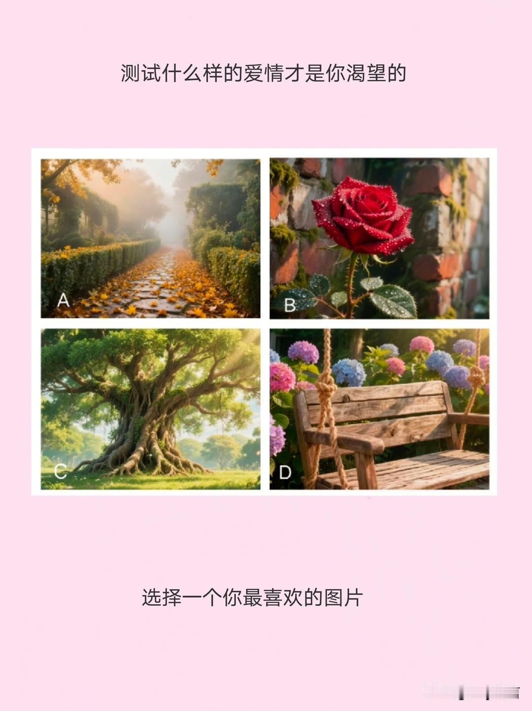 选择一个你最喜欢的图片