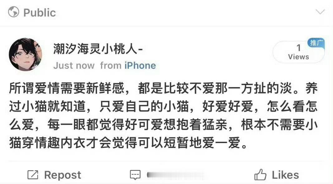 养过小猫就知道 爱不需要新鲜感 ​​​